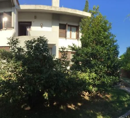 Pezaro *